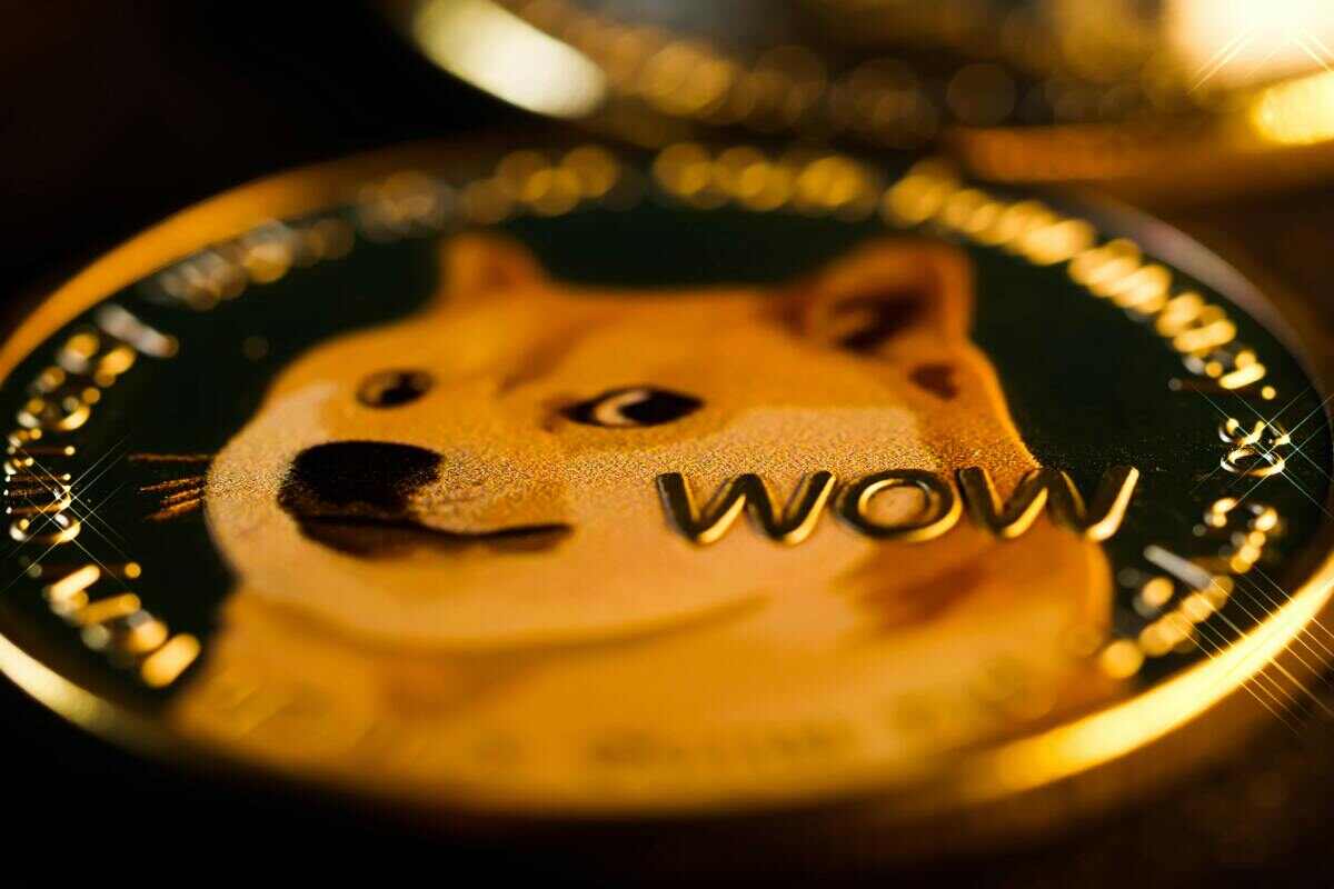 doge coin